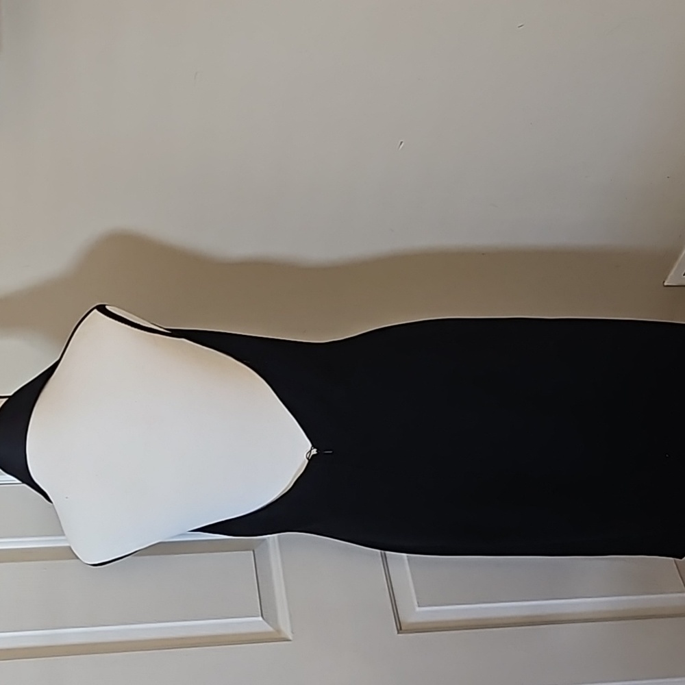 Dress - Picture 3 of 5